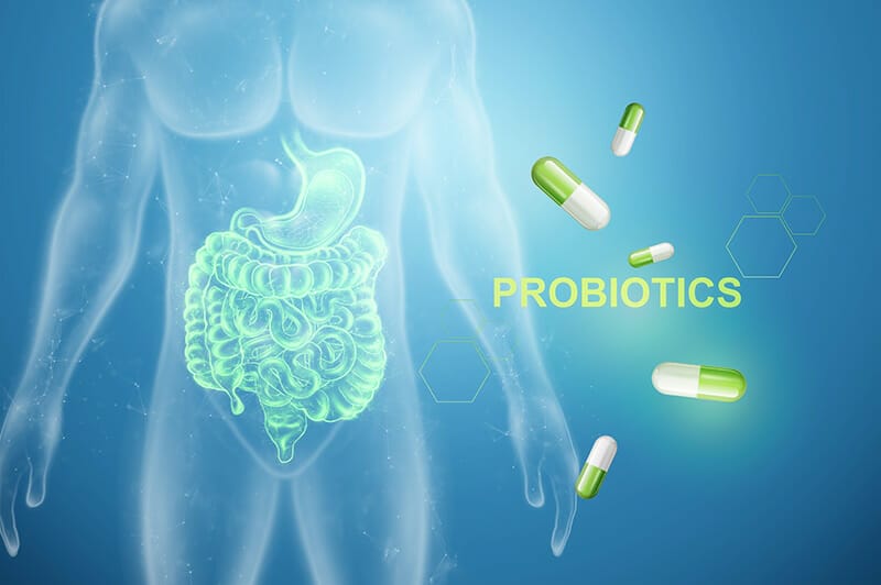 probiotics ช่วยอะไร